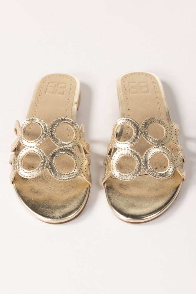 Golden Slipper IWW-SLP24-001