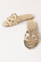 Golden Slipper IWW-SLP24-001