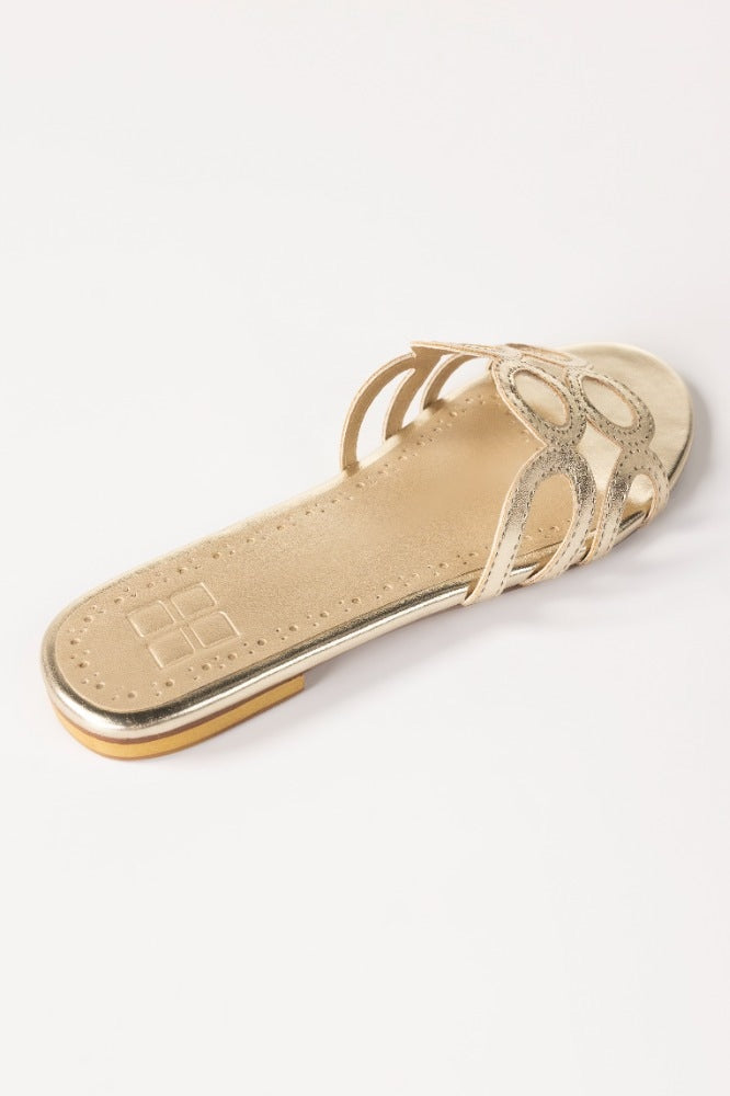 Golden Slipper IWW-SLP24-001
