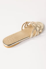 Golden Slipper IWW-SLP24-001