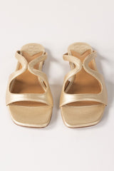 Golden Slipper IWW-SLP24-002