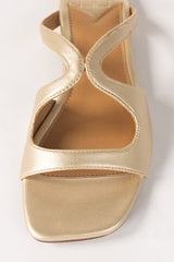 Golden Slipper IWW-SLP24-002