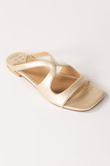 Golden Slipper IWW-SLP24-002