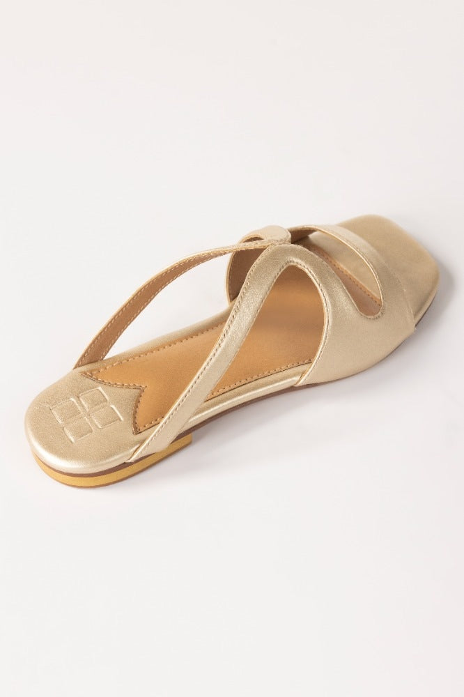 Golden Slipper IWW-SLP24-002