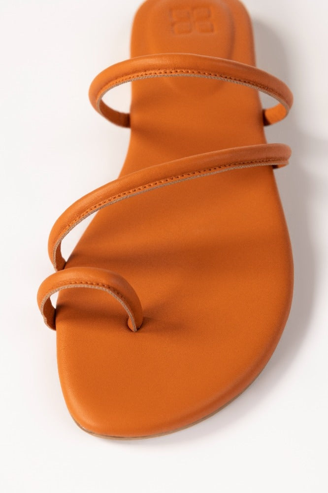 Orange Slipper IWW-SLP24-016