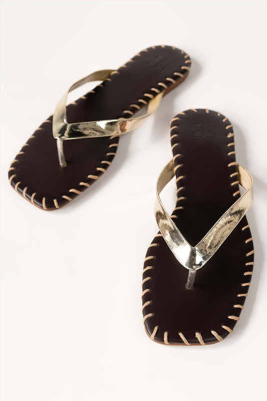 Golden Slipper IWW-SLP24-031