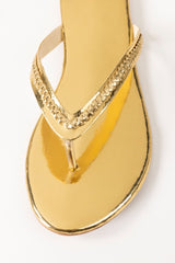 Golden Slipper IWW-SLP24-32