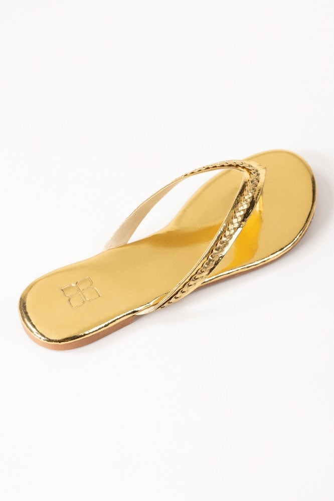 Golden Slipper IWW-SLP24-32