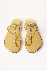 Golden Slipper IWW-SLP24-033