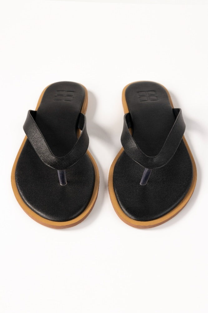 Black Slipper IWW-SLP24-041
