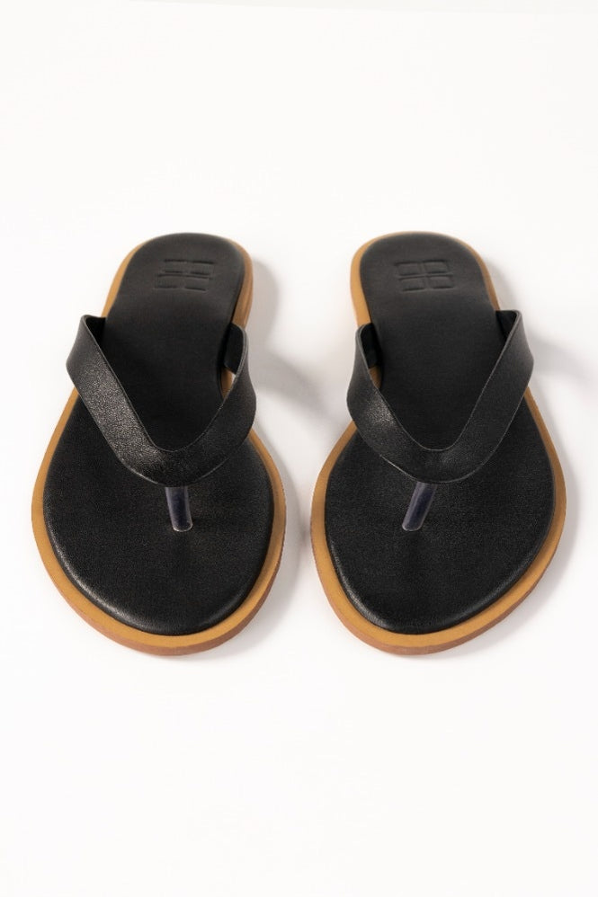 Black Slipper