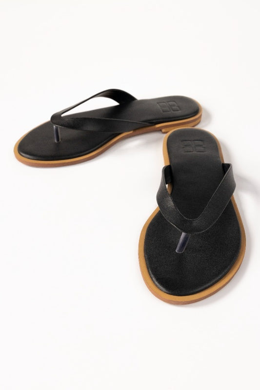 Black Slipper IWW-SLP24-041
