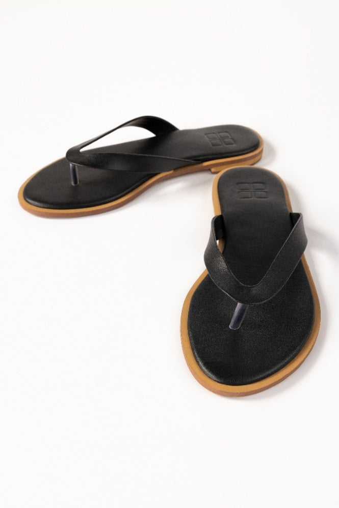 Black Slipper