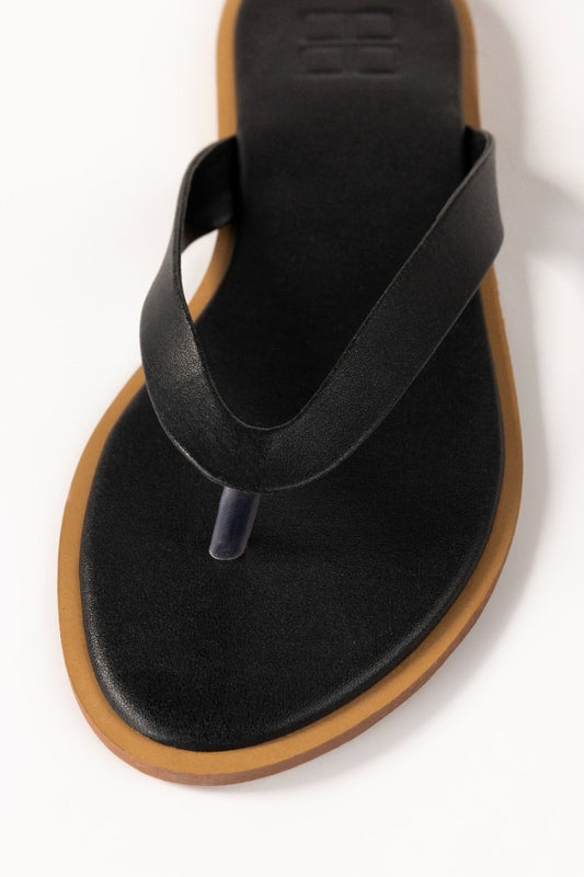 Black Slipper IWW-SLP24-041