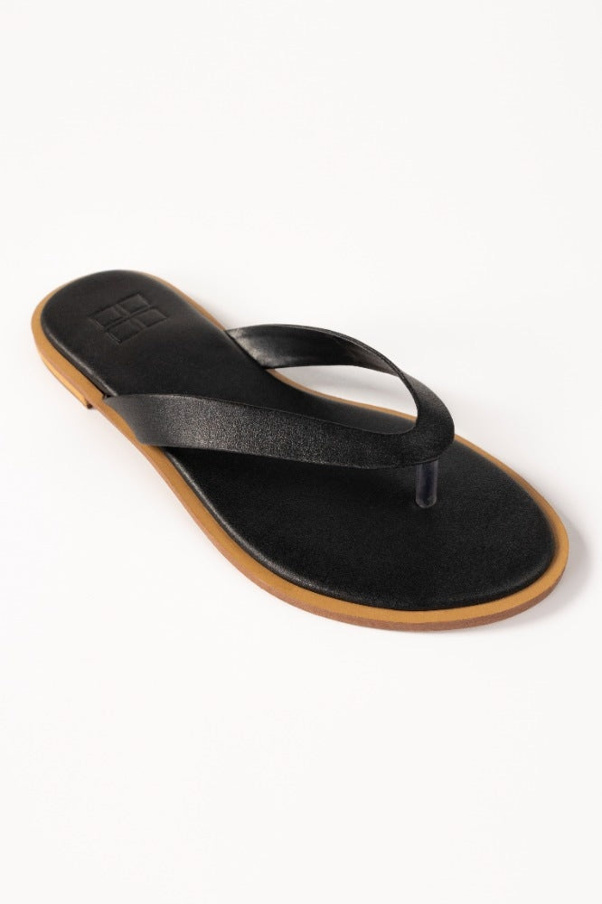 Black Slipper IWW-SLP24-041