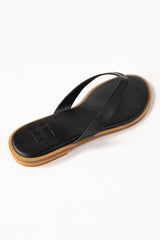 Black Slipper IWW-SLP24-041