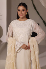3PC Cotton Net Embroidered Suit