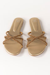 Golden Slipper IWE-SLP24-021