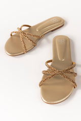 Golden Slipper IWE-SLP24-021