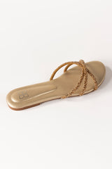 Golden Slipper IWE-SLP24-021
