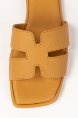 Yellow Slipper IFS-SLP25-020