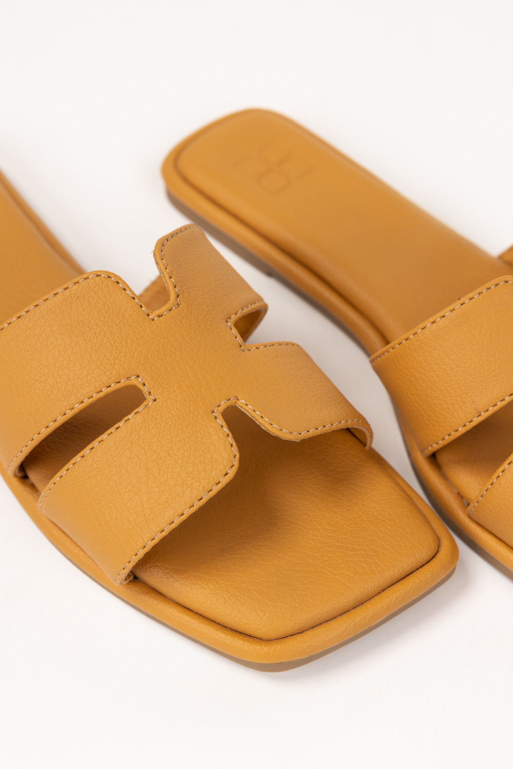 Yellow Slipper