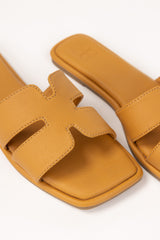 Yellow Slipper IFS-SLP25-020