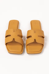 Yellow Slipper IFS-SLP25-020