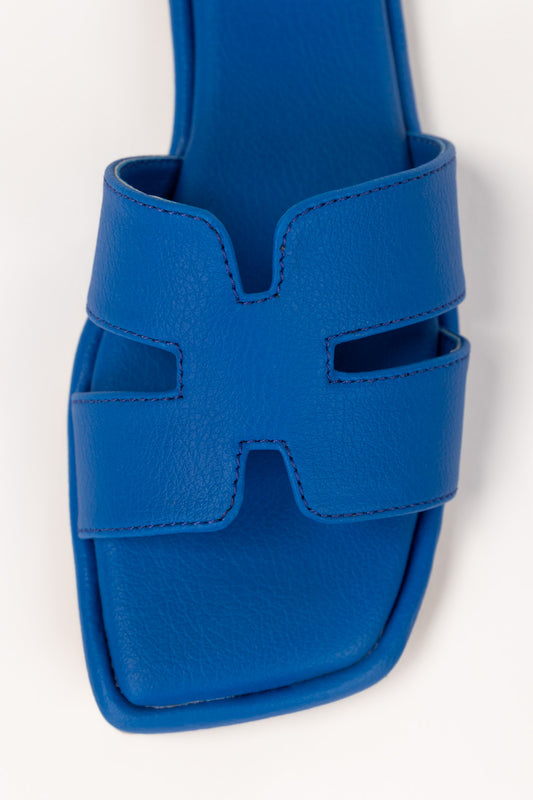 Blue Slipper IFS-SLP25-021