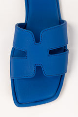 Blue Slipper IFS-SLP25-021