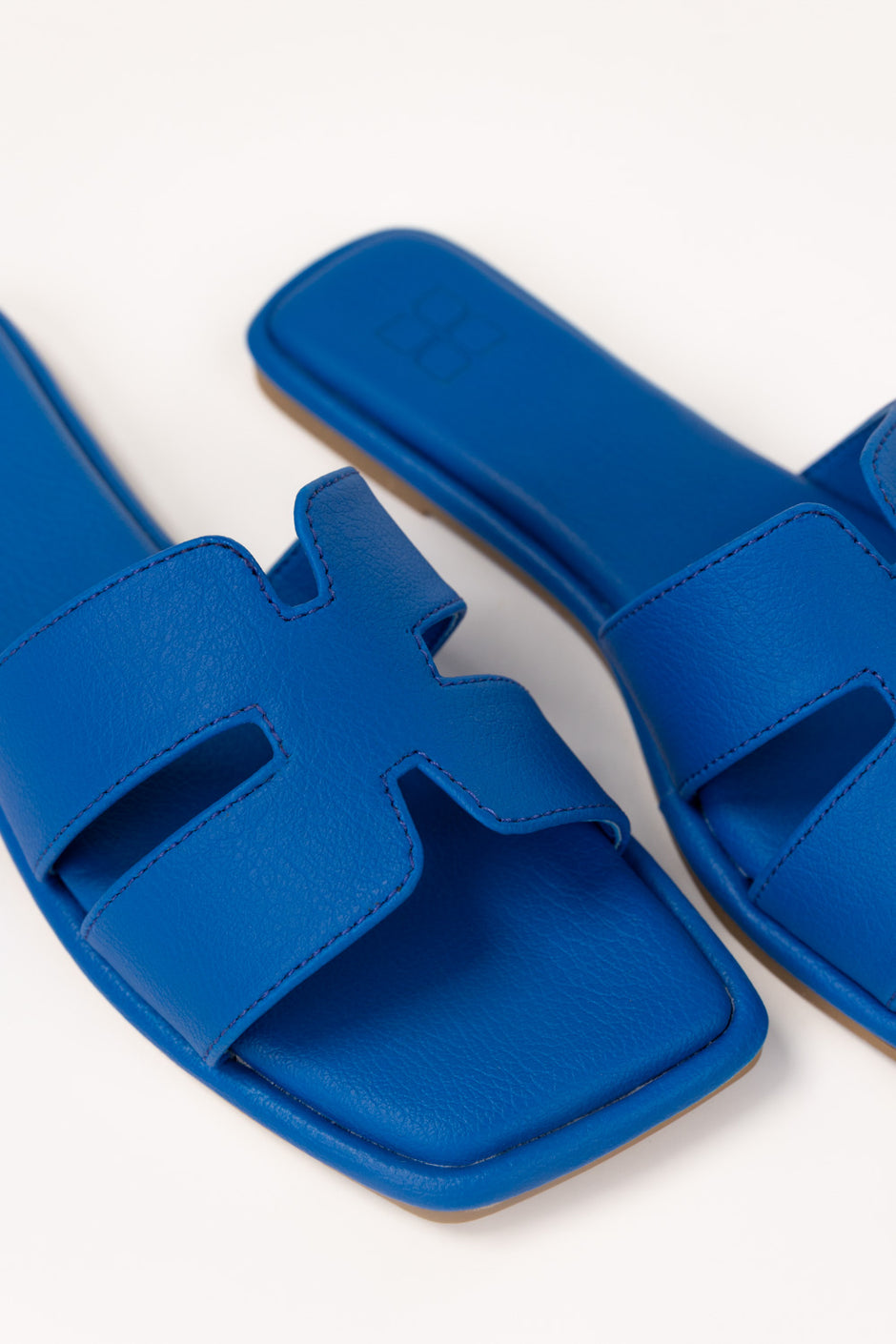 Blue Slipper