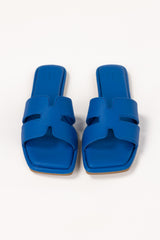 Blue Slipper IFS-SLP25-021