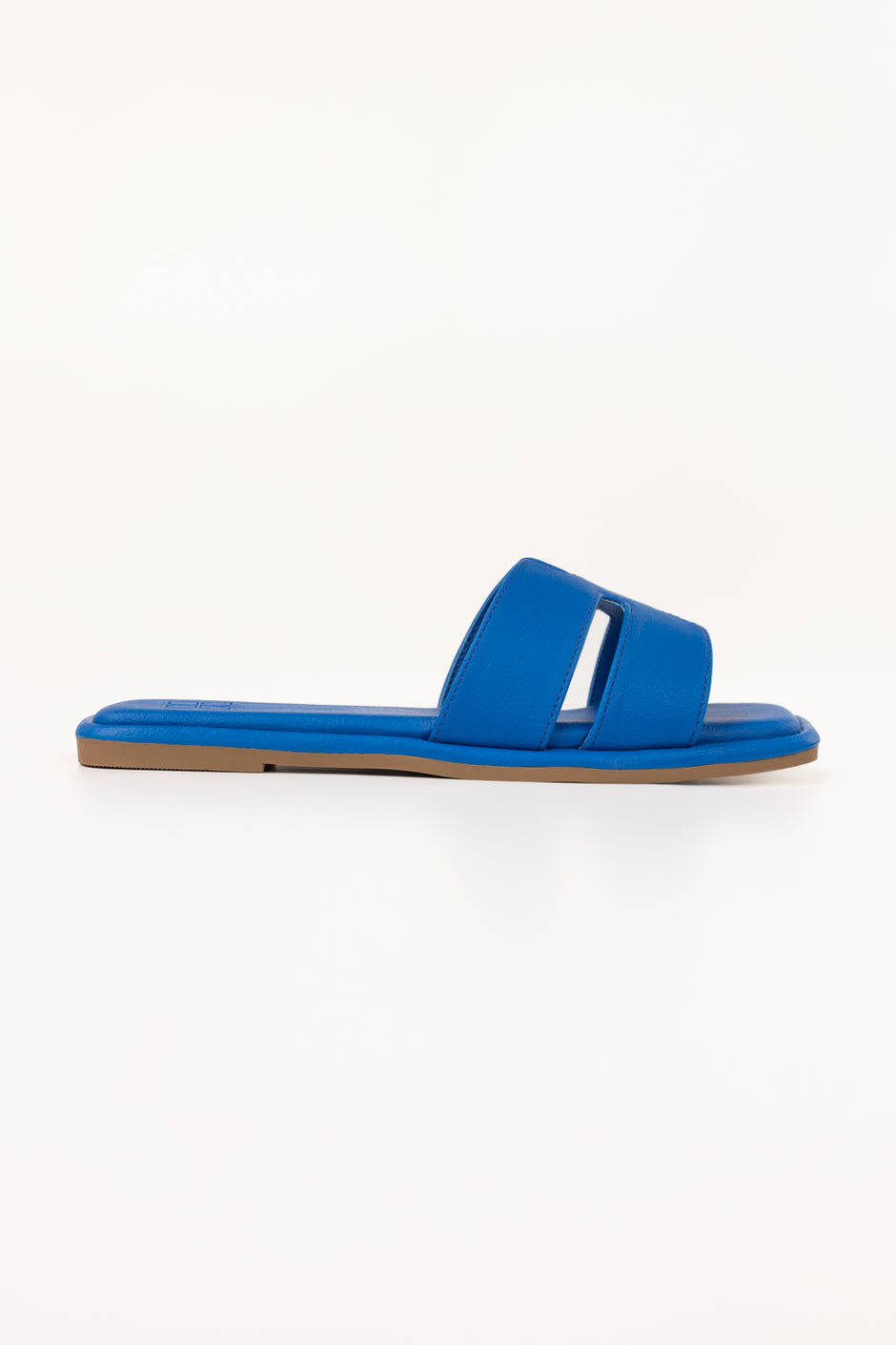 Blue Slipper