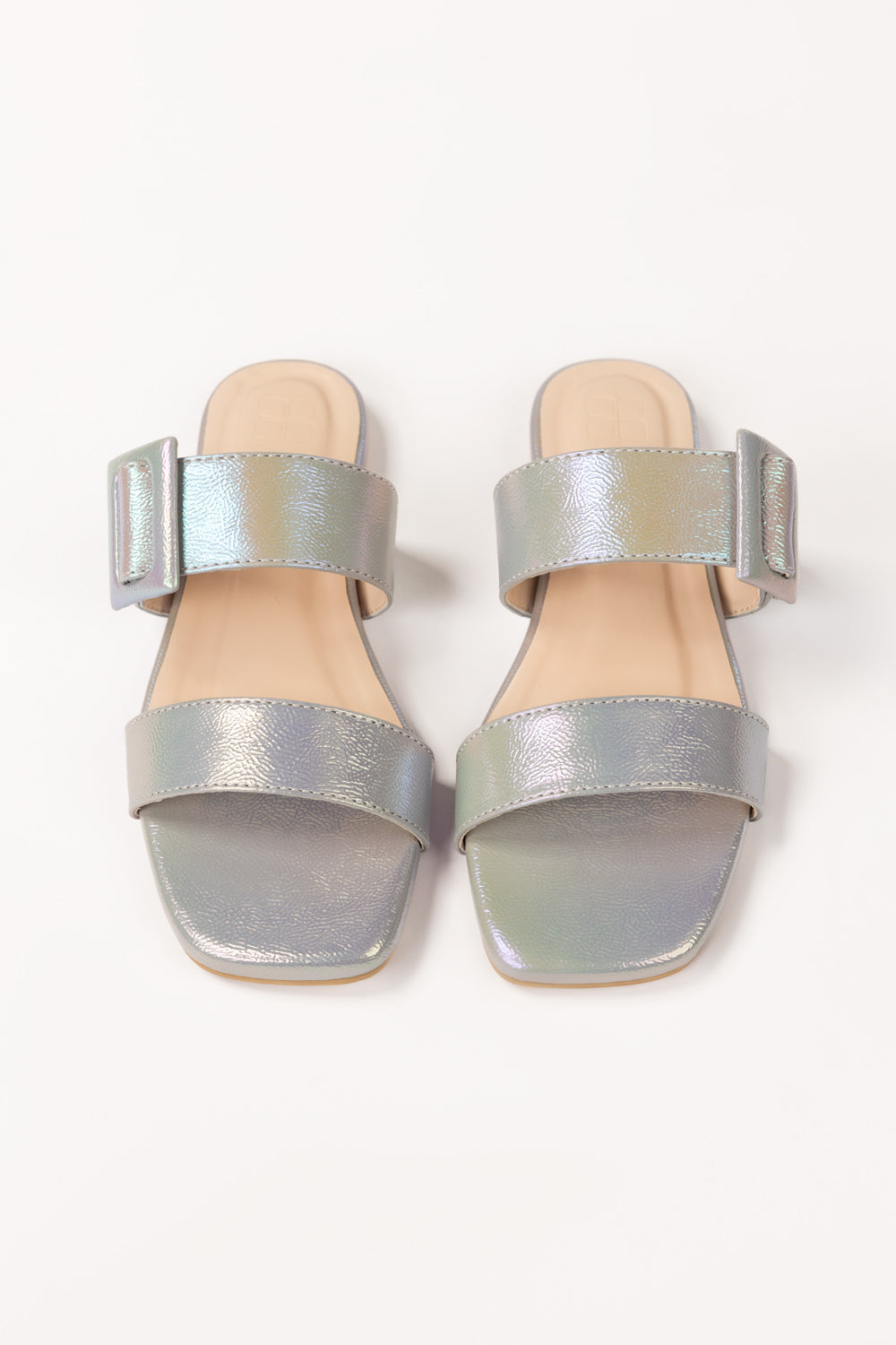 Grey Slipper