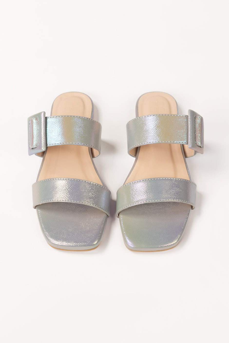 Grey Slipper