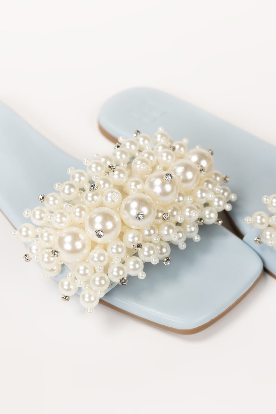 Blue Slipper IFS-SLP26-011