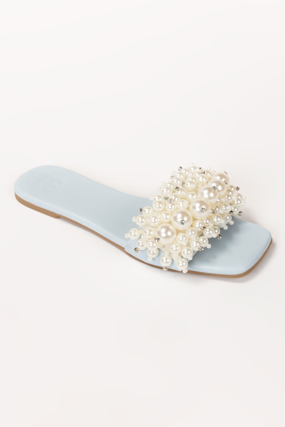 Blue Slipper IFS-SLP26-011