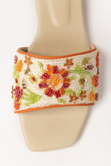 Orange Slipper IFS-SLP26-013