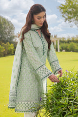 3 Piece Printed Suit