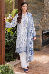 3 Piece Printed Suit