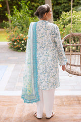 3 Piece Printed Suit