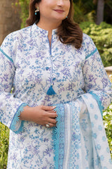 3 Piece Printed Suit