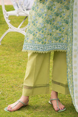 3 Piece Printed Suit