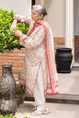 3 Piece Printed Suit