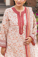 3 Piece Printed Suit