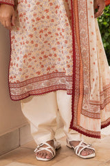 3 Piece Printed Suit