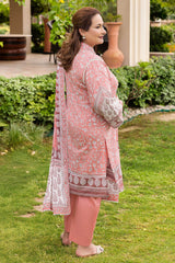 3 Piece Printed Suit