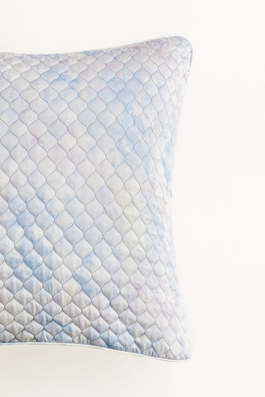 DGBD-006 T-200 Euro Sham Cushion Cover