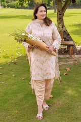 3 Piece Printed Lawn suit with Embroidered Denting Lawn Dupatta