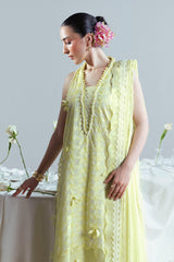 3 Piece Embroidered Cutwork Net Suit with Chiffon Dupatta FE-52159